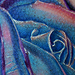 Tattoos - rose on a neck - 46326
